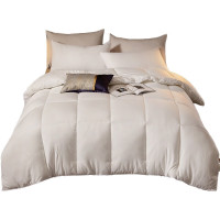 婵思 BZGTDC2000319 200*230/总重约6斤 立体 秋冬被 (计价单位:件) 白