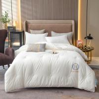 伊伊爱 BZ0TDC2100844 180*220cm 被芯 1.00 件/条 (计价单位:条) 皇嘉蓝