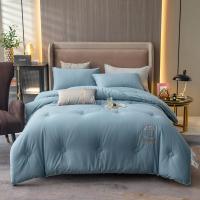 伊伊爱 BZ0TDC2100843 150*200cm 被芯 1.00 件/条 (计价单位:条) 皇嘉灰