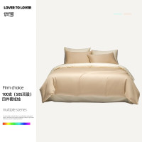 伊伊爱 TJ0HJC2302005 /200*230cm 炫灿100支四件套 (计价单位:套) 香槟金拼奶酪色
