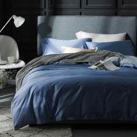 伊伊爱 CMTJ-17XK-1011 纯棉贡缎纯白宾馆精品套 240*240cm 四件套 (计价单位:套) 风暴兰