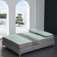 弗切尔珀榕 FAN0220440 150*200*30cm 纯色凉感盛夏系列冰丝席床笠款三件套 1.00 件/套 (计价