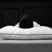 伊伊爱 ZXBHJC2000042 48*74cm 谊家云绒枕 中枕 1.00 件/只 (计价单位:只) 白色