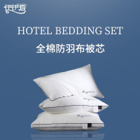 伊伊爱 YDJD230408 45*75cm 酒店专用枕芯 (计价单位:件) 白色