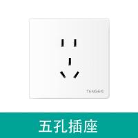 天正 V5-523 五孔插座 插座 (计价单位:个) 白色