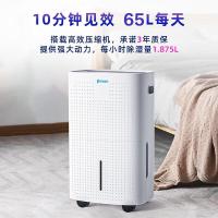 普林艾尔 HT-650 60-100㎡ 除湿机 (计价单位:台) 白色