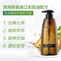 绿色溪谷 椰油活力 500ml 洗发水 (计价单位:瓶)