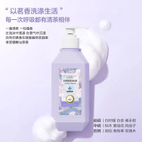 蕉蓝国际 500ml 去屑柔顺 适合干性头屑人群 洗发水 (计价单位:瓶)