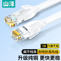 山泽(SAMZHE)BBP601六类扁平网1.00米/根(计价单位:根)白色