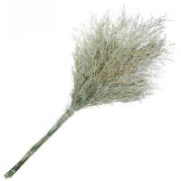 海亚森 TK-2080 长185-200cm,幅面宽80-100cm,重1.8-2.2公斤大号竹制竹连体扫把 扫帚 (计