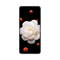 荣耀Magic V Flip 新款小折叠屏 4.0英寸大外屏 单反级写真相机 12+512g 鸢尾黑 拍照 5G