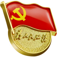 格瑞仕(grcez)[不褪色]镀金新党员徽章党徽胸章厚度2mm别针扣(50个装)