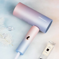 荣事达RC-220C荣爵系列电吹风