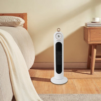 思嘉思达(SKOGSTAD) SKD-N0060 2000W 白 电取暖器 (计价单位:台) 白色