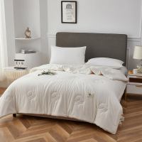 汉司家纺 200*230cm 水洗全棉棉花被(4斤) 被子 (计价单位:件) 白色