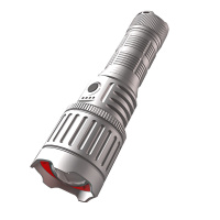 虎光风行 SEE320 LED手提灯 1.00 个/套 (计价单位:套) 银色
