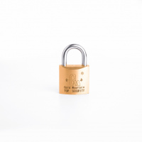金岳 30mm 铜挂锁 1.00 个/把 (计价单位:把)色