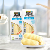北纬47度 东北白甜糯玉米水果玉米非转基因 新鲜早餐代餐健身营养食品粗粮 白甜糯玉米 8支/箱(丰收版)