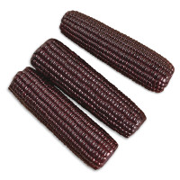 北纬47度 东北甜糯玉米水果玉米非转基因 新鲜早餐代餐健身营养食品粗粮 黑珍珠玉米 8支/箱(丰收版)