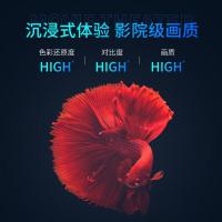 红叶(HONG YE) 150英寸 16:9 白塑幕 电动遥控 幕布 (副) 白色