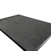 亮电 地垫商用吸水二代棉消毒垫电梯酒店餐厅公司防滑垫迎宾地毯(计价单位:件)