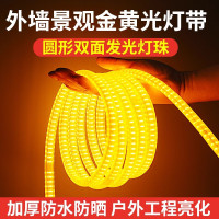 亮电 户外圆形绕树灯带 80米/箱(计价单位:箱)