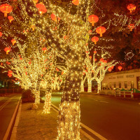 亮电 户外满天星绕树灯10米100灯(计价单位:件)