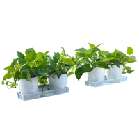 亮电 办公室铁艺花架办公桌面工位置物架阳台护栏转角收纳绿萝套组(计价单位:套)