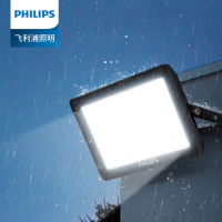 飞利浦(Philips) BVP192 LED43/CW 50W 防水防尘灯 (计价单位:个) 白色