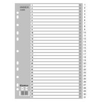 齐心(COMIX) IX899索引纸 A4 11孔PP易分类索引纸 月度1-31月 31月度索引 5个价格