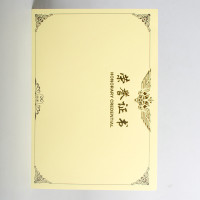 得力(deli)3231 荣誉证书内芯(载誉系列) 黄色优质特种纸优秀员工表扬8K (50张/包)2包装