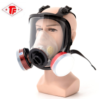 龙雹(LONG BAO) 防毒面具全面罩PVC颜色随机