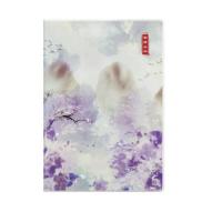 齐心(COMIX) CT3280-2 寄情山水系列32K 80张 胶套本 4本起订 一本价格