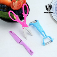 诺顿(NORTON) 5GDC003 多彩厨房小帮手套装多用剪刀水果刀刨器削水果刨瓜刨不锈钢刀具三件套 单套装