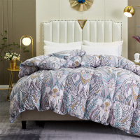 杉杉(FIRS) 卡尔兹鹅绒被羽绒被纯鹅绒 QFS-20166杉杉家纺 JH