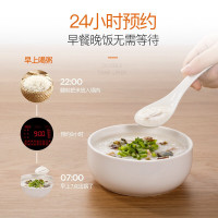 九阳(Joyoung) Y-50C80电压力锅多功能压力煲5升L智能预约高压力锅(一锅双胆)黑色