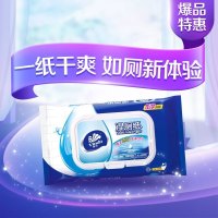 维达(Vinda) 湿巾居家洁净湿厕纸 40片/包 单包装