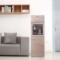 安吉尔 (ANGEL) JY2396 净水器 单台装