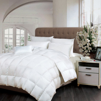 富安娜(FUANNA)雅致暖馨羽绒被203*229cm(800g) 2m*2.3m 白色 单张装