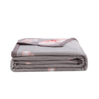 博洋宝贝(Beyond Kids) BYTZ610 花欣雨意 舒适柔软法兰绒毯四季毯 150*200cm 单套