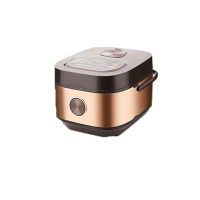 龙的(longde) LD-FS45C 智能电饭煲 4L 单台价