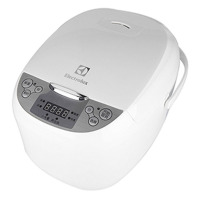 伊莱克斯(ELECTROLUX) EGRC-1000 智能微电脑电饭煲 单台装