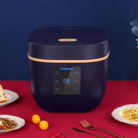 长虹(CHANGHONG) 西施电饭煲 CFB-X20H01