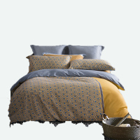 水星家纺 全棉抗菌四件套 DH梵讴 1.5M床