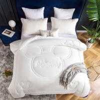 迪士尼(DISNEY) 水润呼吸被 DDM09-2023C