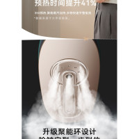 山水(SANSUI) 挂烫机折叠手持熨烫机增压蒸汽刷迷你便携式电熨斗折叠烫衣机大宇小型家用熨衣服036