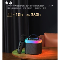 山水(SANSUI)话筒音响麦克风蓝牙无线家用儿童家庭ktv一体 旗舰版油彩白/太空灰