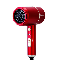 西屋(WESTINGHOUSE)西屋电吹风H101