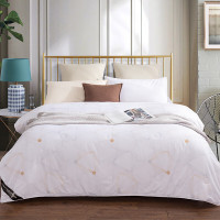 金丝莉KINTHERI 梦里水乡蚕丝被 200×230cm JB-1110