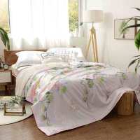 路易卡罗(Louiskellog) 蚕丝系列—灵音之美 丝绸 1500g 200cm*230cm LK-8632